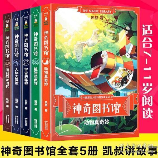 暴走小飞机